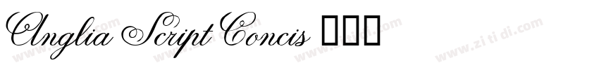 Anglia Script Concis字体转换